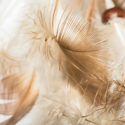 The Heavyweight in Lightweight